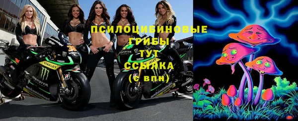 героин Алексин