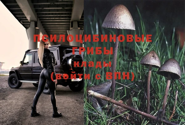 спиды Абинск
