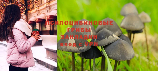 героин Алексин