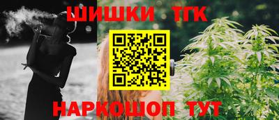 сатива Новодвинск