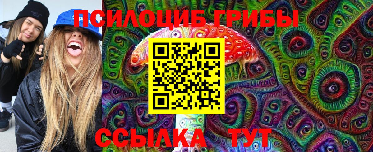 Галлюциногенные грибы Cubensis Россошь